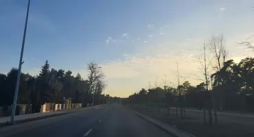 260 nowych drzew we Włocławku. Miasto zazielenia ulice i parki na wiosnę