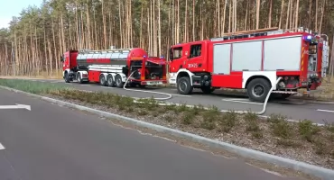 Duży pożar lasu przy Michelinie we Włocławku. 13 wozów strażackich i cysterna w akcji