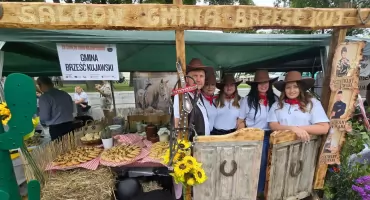 Święto Żuru Kujawskiego w Brześciu Kujawskim wystartowało. Konkurs kulinarny i Jacek Stachursky. ZDJĘCIA