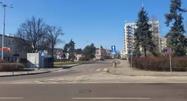 Włocławek rozpoczyna walkę ze szczurami. Znamy termin i lokalizację