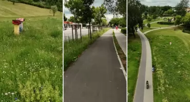 Włocławek stawia na łąki kwietne. Czy to dobry kierunek dla miasta?