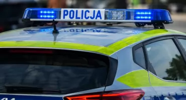 132 kilogramy narkotyków w walizce we Włocławku. Wartość zwala z nóg