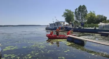 Martwe ślimaki w Wiśle pod Włocławkiem. Wody Polskie zabrały głos