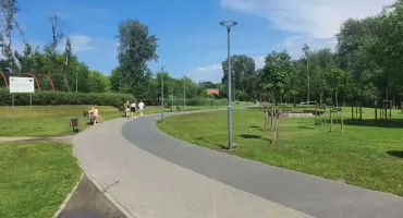 Parkowe alejki we Włocławku pod lupą. Radny pyta, czy miasto ma problem pod kontrolą