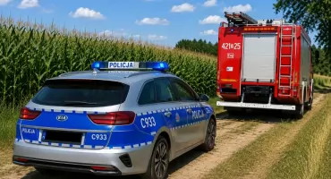 Tragedia w Baruchowie. W polu kukurydzy znaleziono ciało mężczyzny