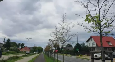 Po ulicy Piwnej kolejne sygnały. Mieszkańcy pokazują drzewa przy al. Jana Pawła II