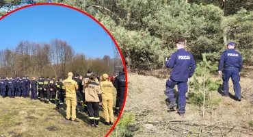 Grzybiarze znaleźli ludzkie szczątki w lesie. Wyniki DNA przyniosły odpowiedź