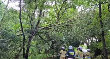 109 zdarzeń w trzy dni. Strażacy we Włocławku i powiecie walczyli ze skutkami pogody. Zdjęcia