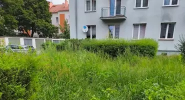 Trawa miała prawie 2 metry. Mieszkaniec poprosił nas o pomoc. Jest reakcja AZK