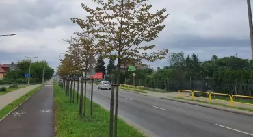 To będzie duża zmiana na Michelinie. Przy Cienistej powstanie 195 mieszkań. Wiemy kiedy