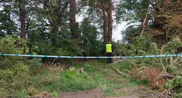 Tragedia w gminie Osięciny. 34-latek zginął podczas wycinki drzewa